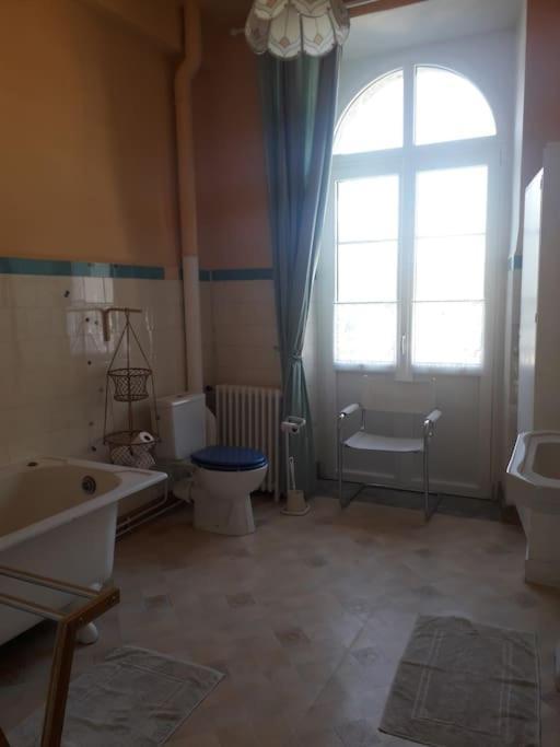 Magnifique Maison De Maitre Du 18E Avec Jardin Люс-Сен-Совёр Экстерьер фото