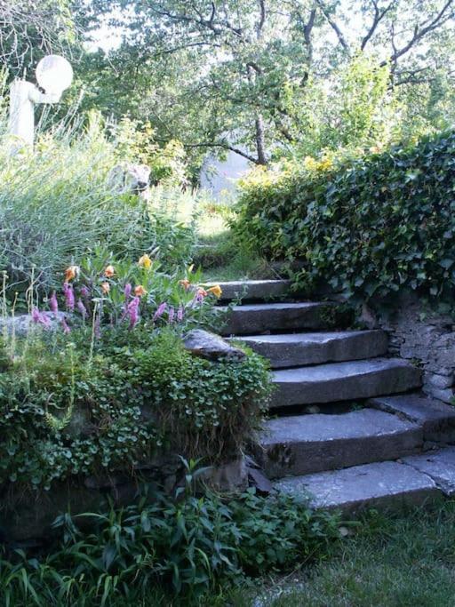 Magnifique Maison De Maitre Du 18E Avec Jardin Люс-Сен-Совёр Экстерьер фото