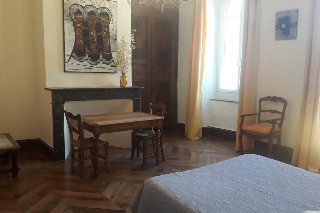 Magnifique Maison De Maitre Du 18E Avec Jardin Люс-Сен-Совёр Экстерьер фото