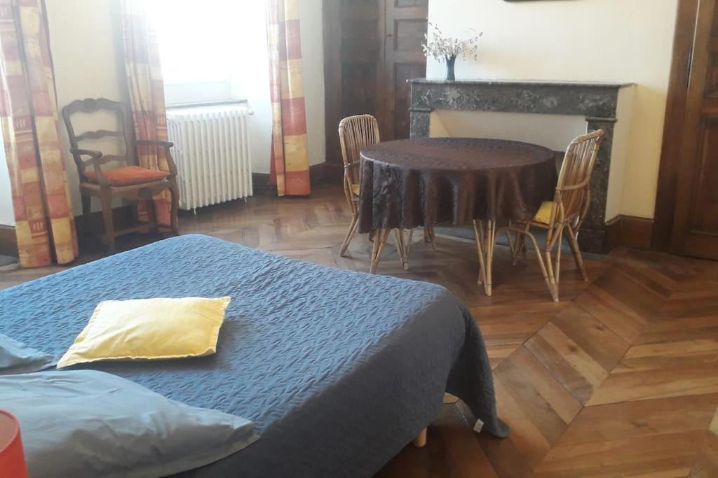 Magnifique Maison De Maitre Du 18E Avec Jardin Люс-Сен-Совёр Экстерьер фото